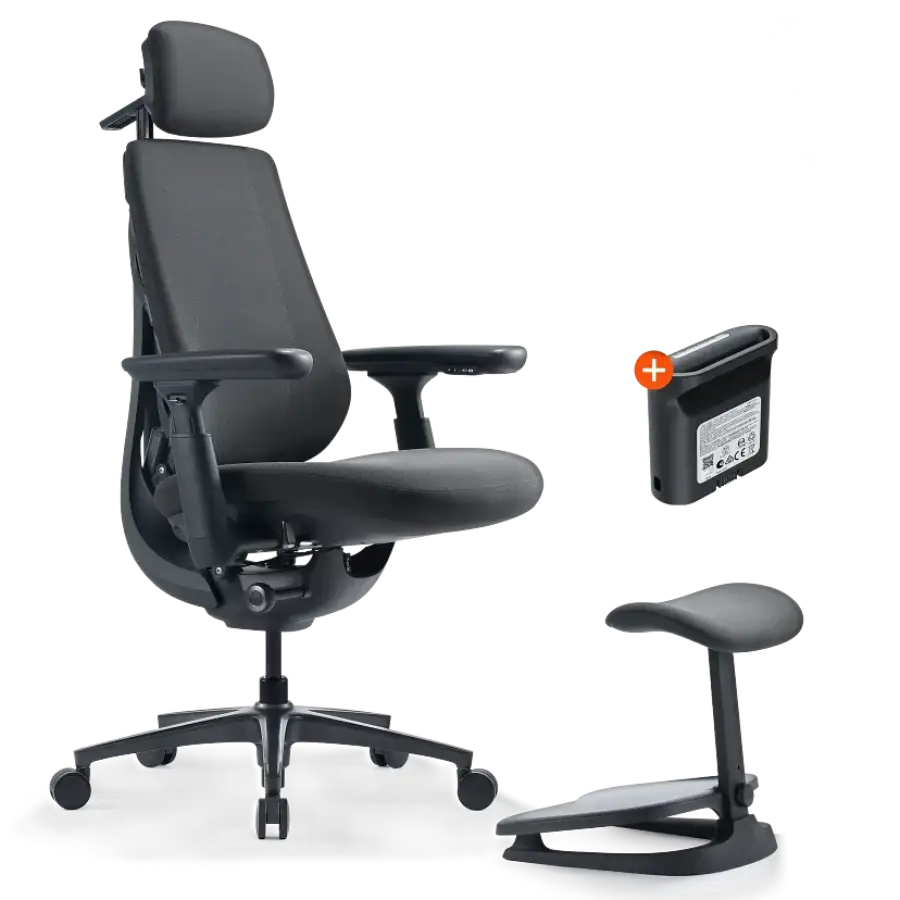 Dynamic Ergonomic Chair in Black